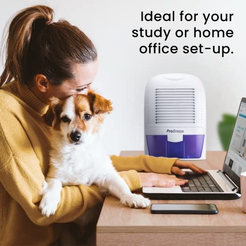 Electric Mini Dehumidifier