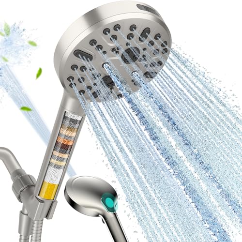 Filtered Shower Head with Handheld