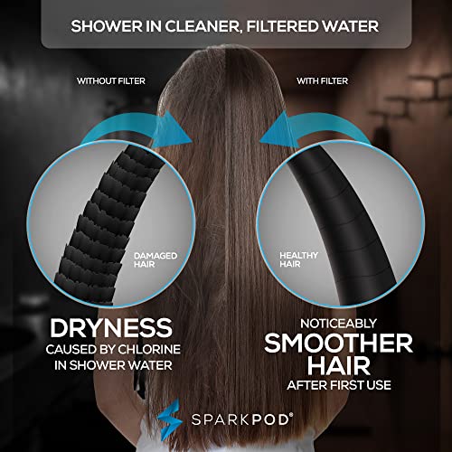 Filtered 10 Mode Handheld Shower Head