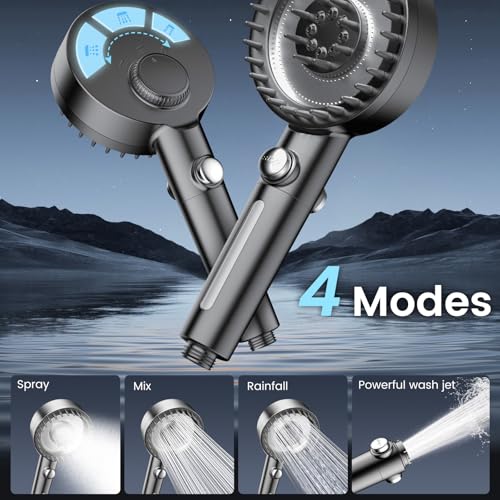 Filtered Shower Head with Handheld