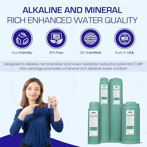 Alkalizer Ionizer