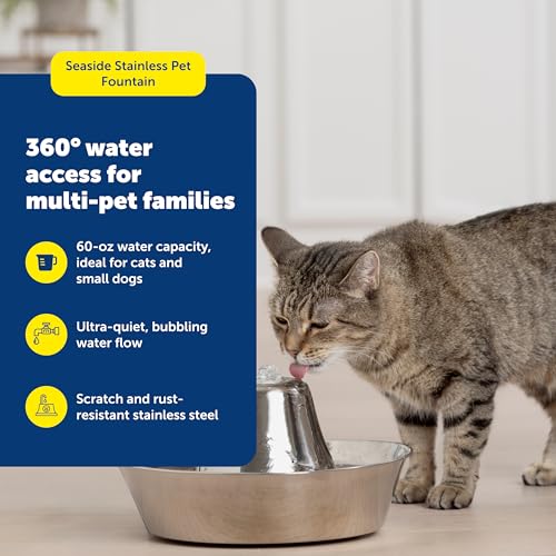 Seaside Stainless Cat & Dog Fountain