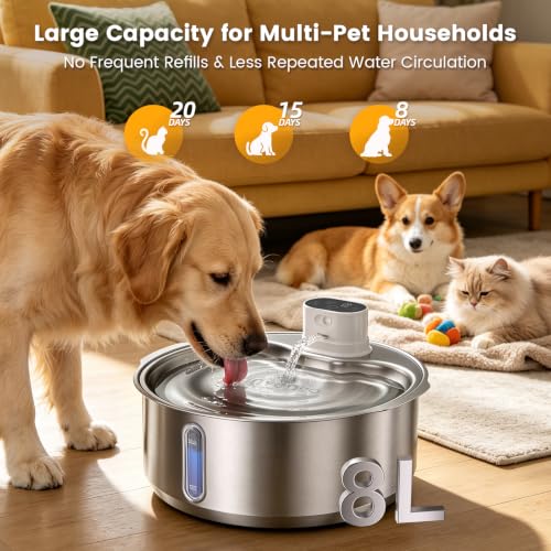 8L 270oz Cordless Stainless Steel Dog Water Fountain