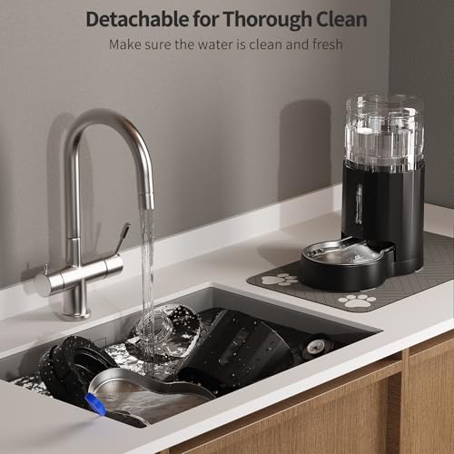 Cat Water Dispenser with Placemat & Stainless Steel Bowl