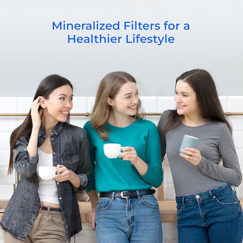 MNR35 2 Remineralization Filters (2 Count)