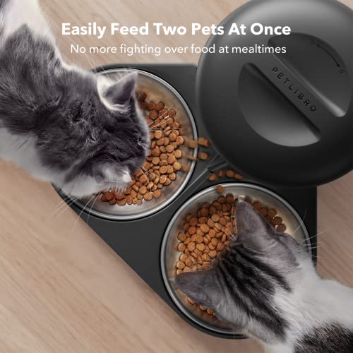 Automatic Cat Feeder