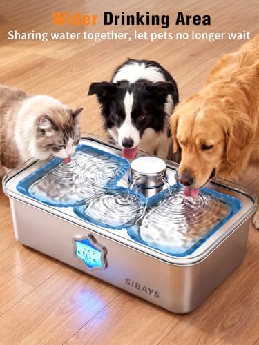 4.5Gal 17L Dog Water Fountain for Large Dogs