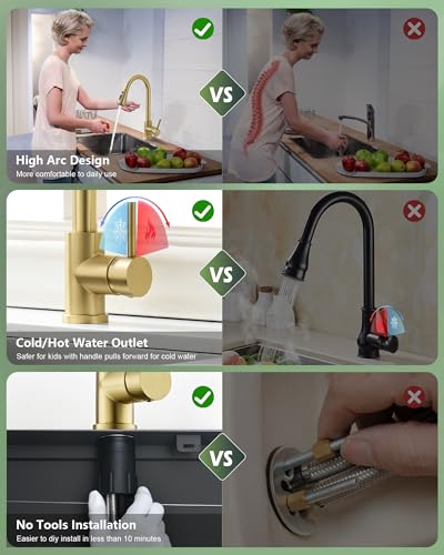 Kitchen Faucet with Pull Down Sprayer