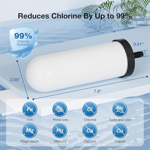 Washable Ceramic Water Filter Candle (4 Count)