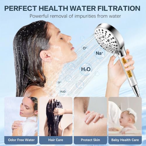 Filtered Shower Head with Handheld