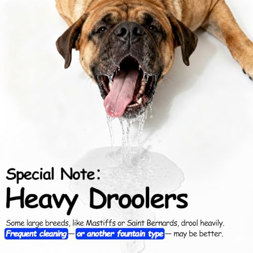 10 L Stainless Steel Dog Water Fountain for Large Dogs (328 Ounce)