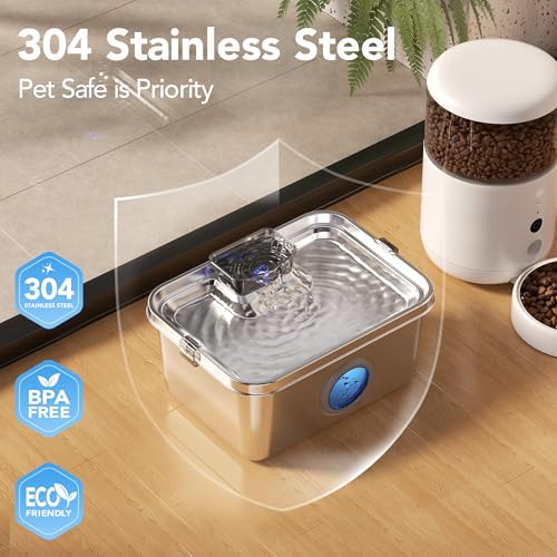 Dog Water Fountain