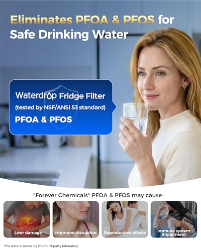 Plus Water Filter (2 Count)