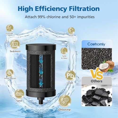 2 Pack 2387 Pro Filter Replacement for Alexapure 2387 Pro Water Filter (2 Count)