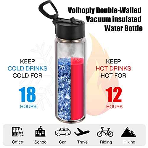 Insulated Water Bottles with Straw Bulk 8 Pack (8 Count)