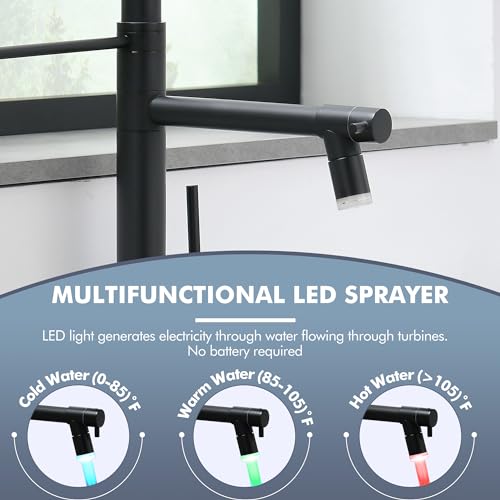 Matte Black Kitchen Faucet with Pull Down Sprayer LED Double