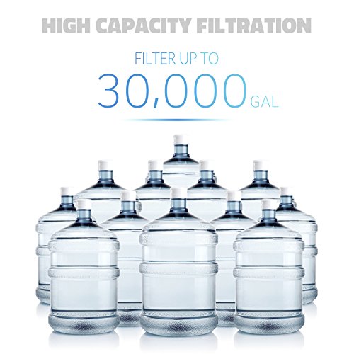 WCB32+AHPF12MNPT12X2 Whole House Water Filter System