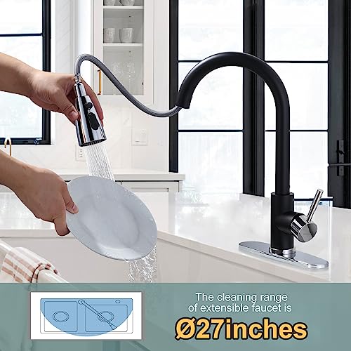 Black and Chrome Kitchen Faucet with Sprayer
