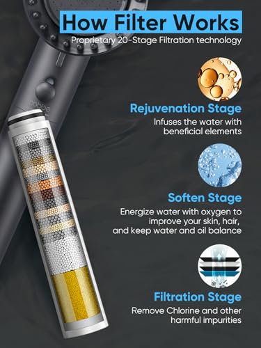 Filtered Shower Head with Handheld