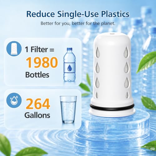 Water Pitcher Filter Replacement for LifeStraw Home