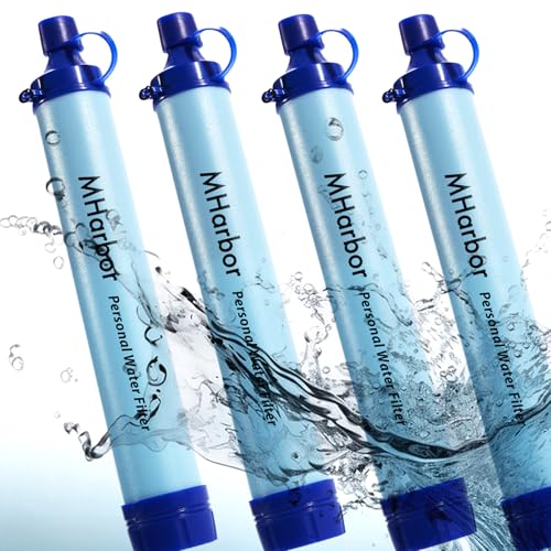 Personal Water Filter Straw (4 Count)