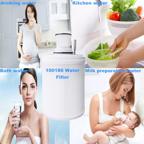 1Pack 100186 Water Filter Replacement