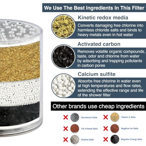 Shower Filter