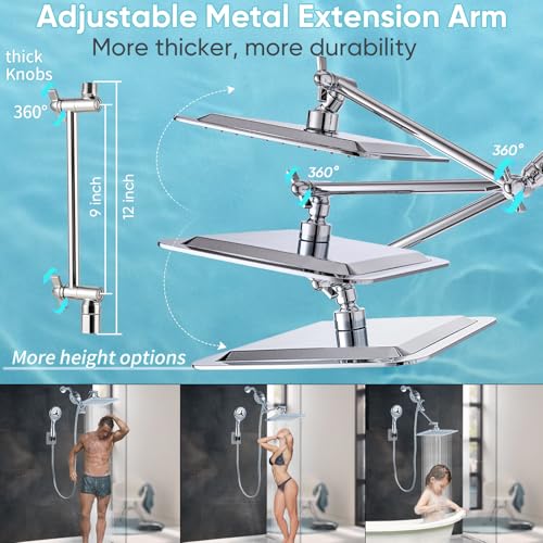 10'' Dual 20 Stage Filtered Shower Head with Handheld