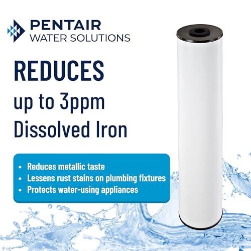 Pentair Pentek RFFE20