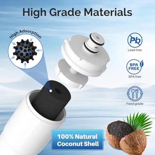 CS 52 Water Filter (2 Count)