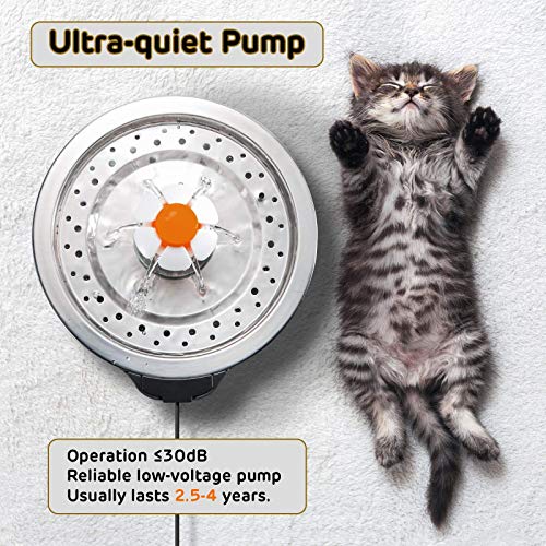 Cat Water Fountain Stainless Steel