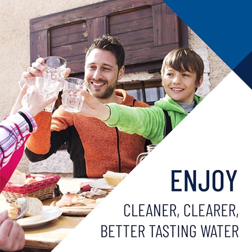 Pentair OMNIFilter TO8 Carbon Water Filter
