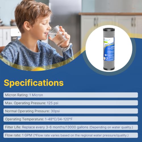 1 Micron 10" x 2.5" Whole House CTO Carbon Water Filter (2 Count)