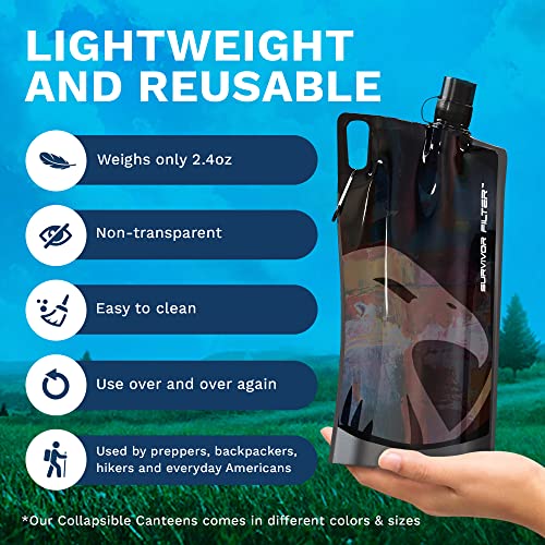 1L Black Collapsible Water Bottles (2 Count)