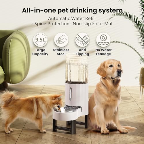 Elevated Dog Water Bowl Dispenser for Large Dogs