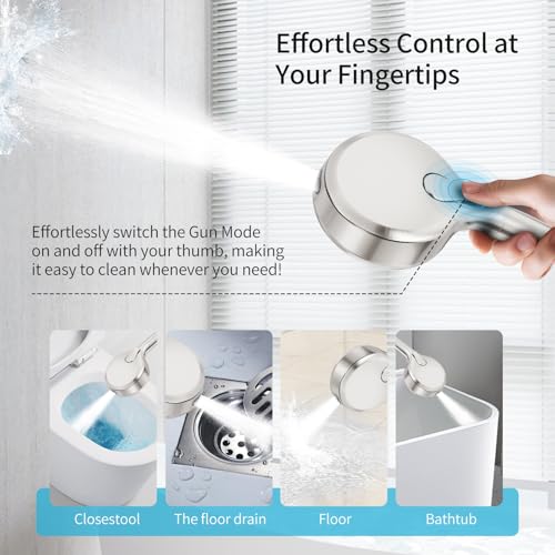 Filtered Shower Head with Handheld