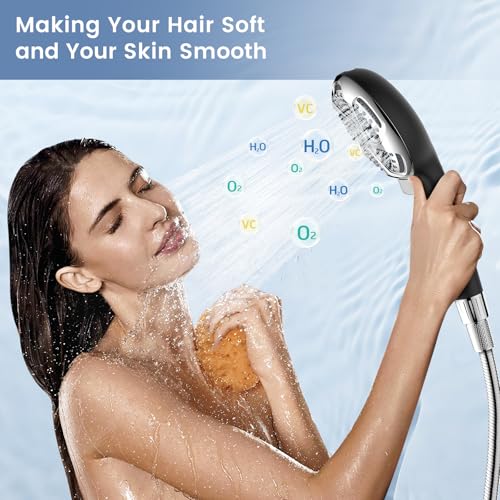 Filtered Shower Head with Handheld