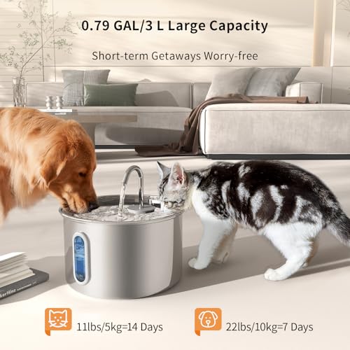 Stainless Steel Cat Water Fountain