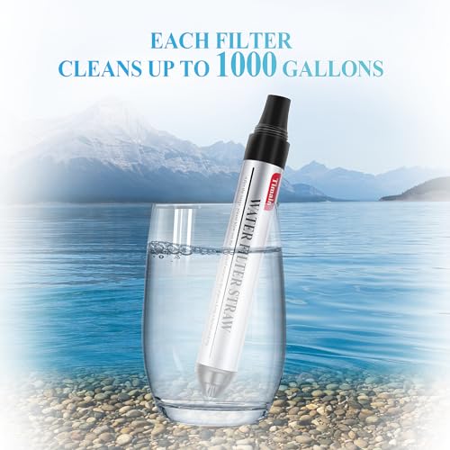 4 Pack Mini Water Filter Straws