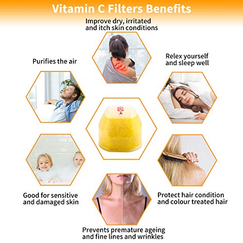 Vitamin C Shower Head with Handheld