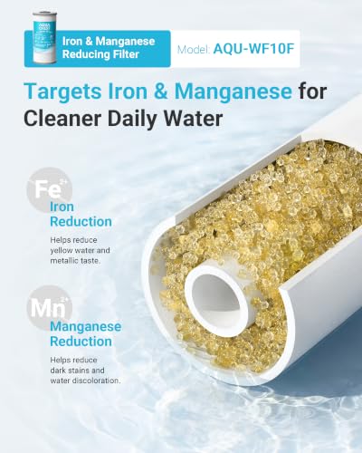 WF10FG Whole House Water Filter for WHF21 (2 Count)