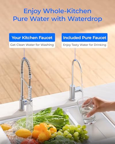 FDL P2 Replacement Water Filter for Waterdrop DLG