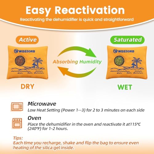 100g x 10 Pack Reusable Desiccant Packs for Storage (10 Packets)