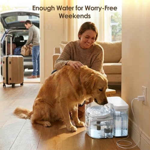 11L 372oz Large Dog Water Fountain