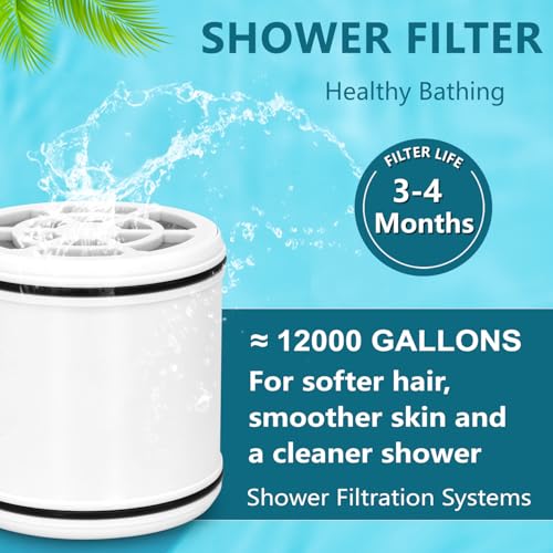 Shower Head Replacement Filter Cartridge