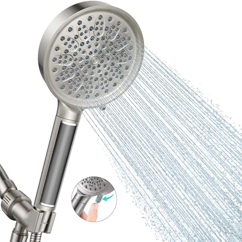 Filtered Shower Head with Handheld