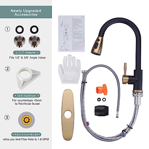 Black and Gold Kitchen Faucet with Sprayer