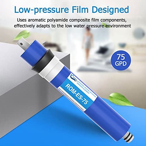 75 GPD RO Membrane Filter Replacement with Reverse Osmosis Housing
