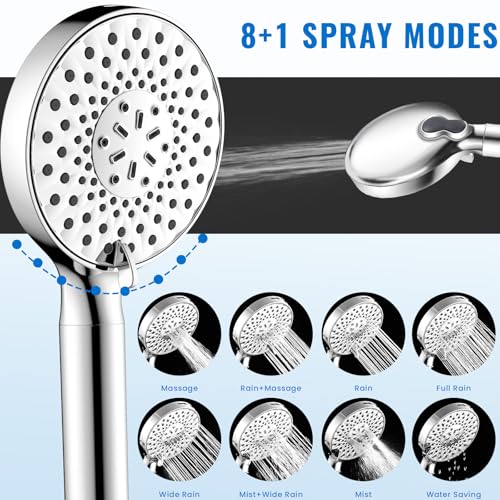 Filtered Shower Head with Handheld