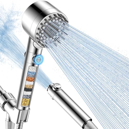 Filtered Shower Head with Handheld